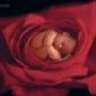 Littlesisje