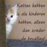 twinkeloogje