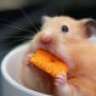 Sheerio