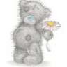 schaap