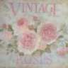 Vintage Rose