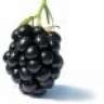 Blackberry