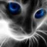 Wintersun
