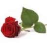 Blondine92