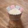 mvRoosenMuffin