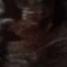 selina1