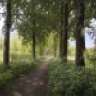Grietjegrintweg