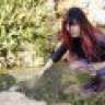 Ozza