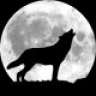 LonelyWolf