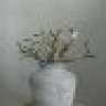 anonymous11