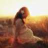 Field of Love