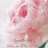 Blomke90
