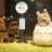 CatsinDresses
