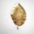 Solidgold