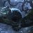 Aliceinwonderland