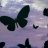 WildLily94