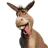 burro