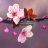 Blossom01