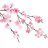 SweetBlossom