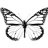 Vlinder33
