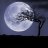 Moonlightqwerty
