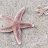 LittleStarfish