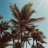IslandBaby