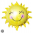 Zonnebloem11