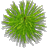 Kikki