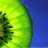 Kiwi08