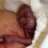 Marieke123