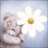 flower82