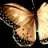 Mariposa2010