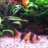 jolien77