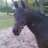 maeike