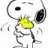 Snoopy85