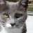renate33