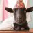 Lamb