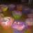 sillie81