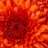 Asterre