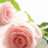 Lissy777
