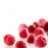 Frambloosje