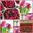 flowerpower1