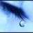 Teardrop786