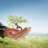 Hopefulness