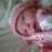 KiDoNe