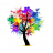 Colour