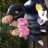 Chantal418