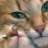 purringkitty