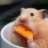 Sheerio